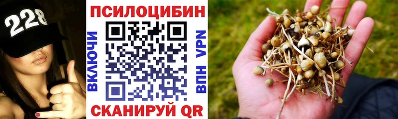 Псилоцибиновые грибы MAGIC MUSHROOMS  Комсомольск-на-Амуре 