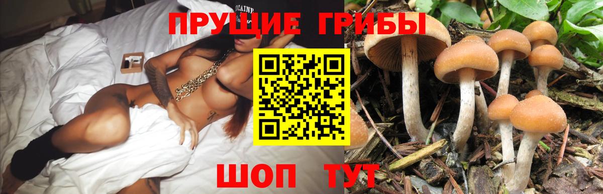 Псилоцибиновые грибы мухоморы  Вход с VPN  Псилоцибиновые грибы Psilocybe  Комсомольск-на-Амуре 